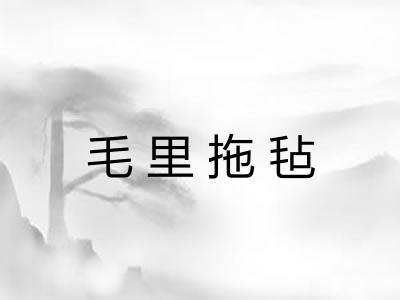 毛里拖毡 毛里拖毡