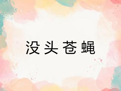 没头苍蝇 没头苍蝇