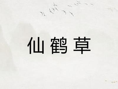 仙鹤草 仙鹤草