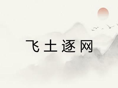 飞土逐网 飞土逐网