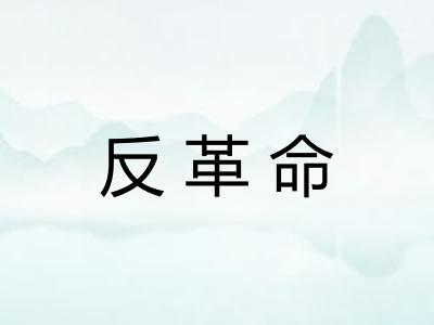 反革命 反革命