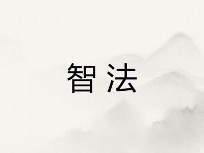 智法