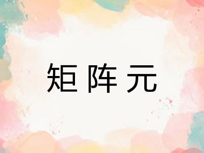矩阵元 矩阵元