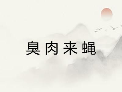 臭肉来蝇 臭肉来蝇