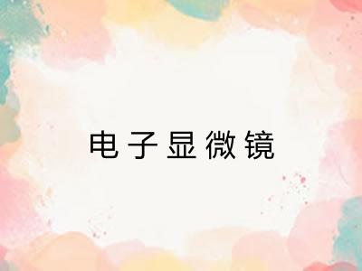 电子显微镜 电子显微镜