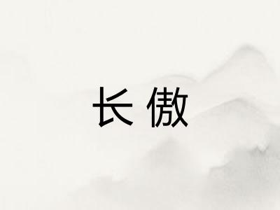 长傲 长傲