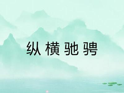 纵横驰骋 纵横驰骋