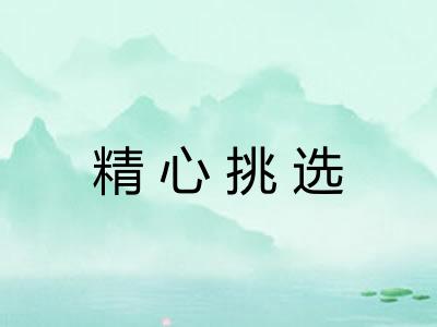 精心挑选