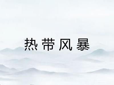 热带风暴 热带风暴