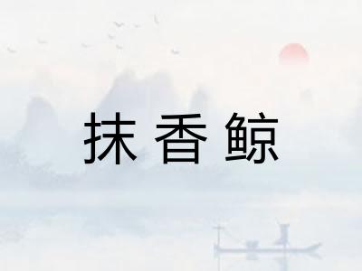 抹香鲸 抹香鲸