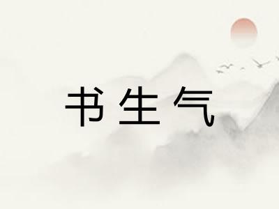 书生气