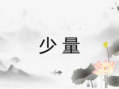 少量 少量