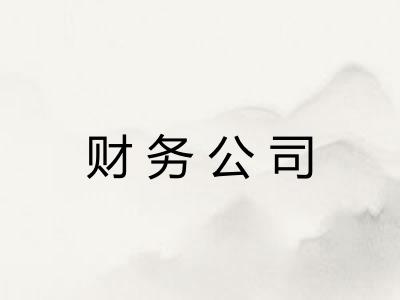 财务公司 财务公司