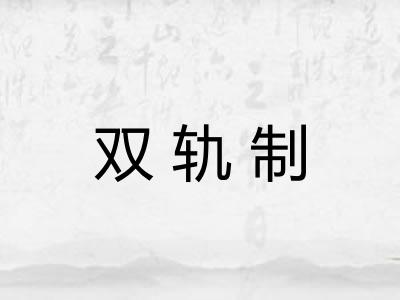 双轨制 双轨制