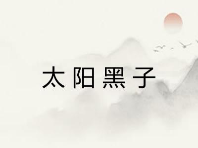 太阳黑子 太阳黑子