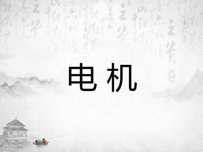 电机 电机