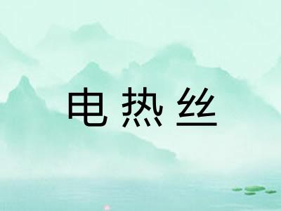 电热丝 电热丝