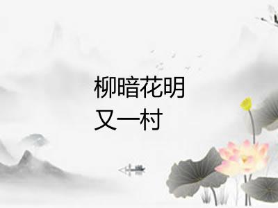 柳暗花明又一村 柳暗花明又一村