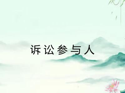 诉讼参与人 诉讼参与人