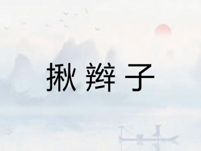 揪辫子 揪辫子