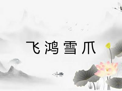 飞鸿雪爪 飞鸿雪爪