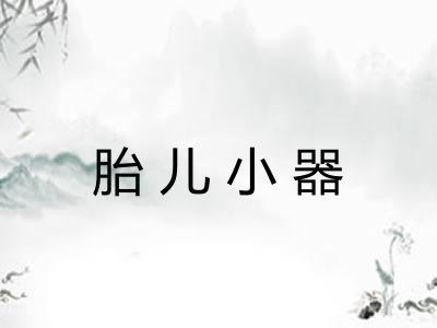 胎儿小器