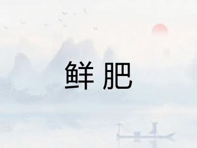 鲜肥 鲜肥