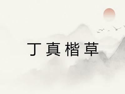 丁真楷草 丁真楷草