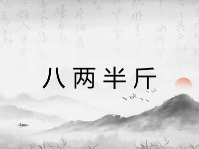 八两半斤 八两半斤