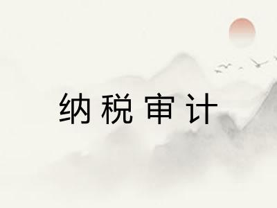 纳税审计 纳税审计