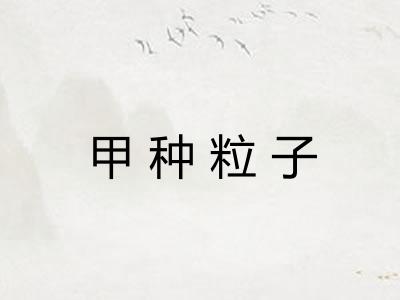 甲种粒子 甲种粒子