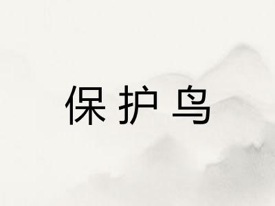 保护鸟 保护鸟