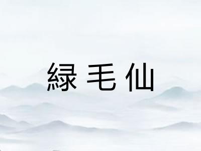 緑毛仙 緑毛仙