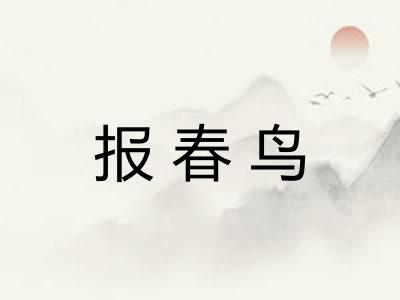 报春鸟 报春鸟