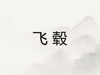 飞毂 飞毂