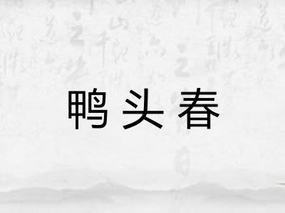 鸭头春