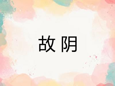 故阴