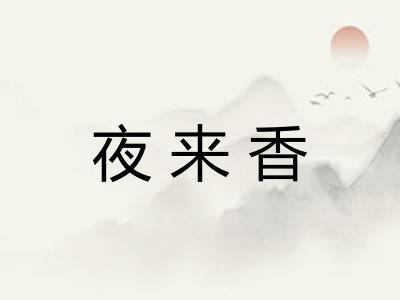 夜来香 夜来香