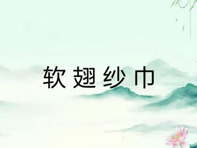 软翅纱巾 软翅纱巾