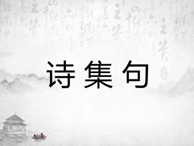 诗集句 诗集句