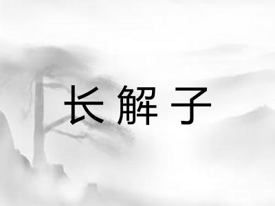 长解子 长解子