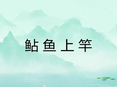 鲇鱼上竿 鲇鱼上竿