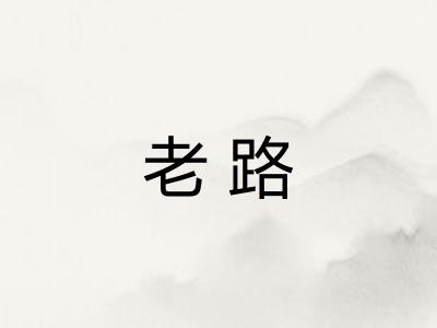 老路