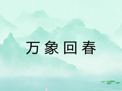 万象回春 万象回春