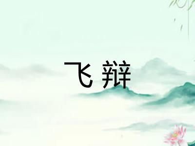 飞辩