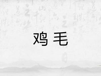 鸡毛 鸡毛