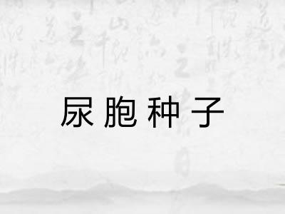 尿胞种子 尿胞种子