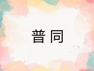 普同