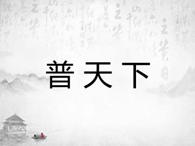 普天下 普天下