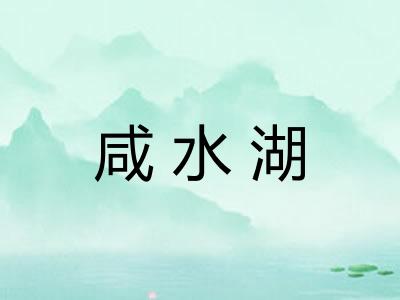 咸水湖 咸水湖